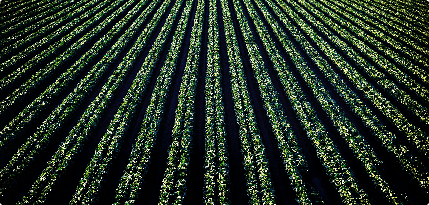 Agricultural farmland